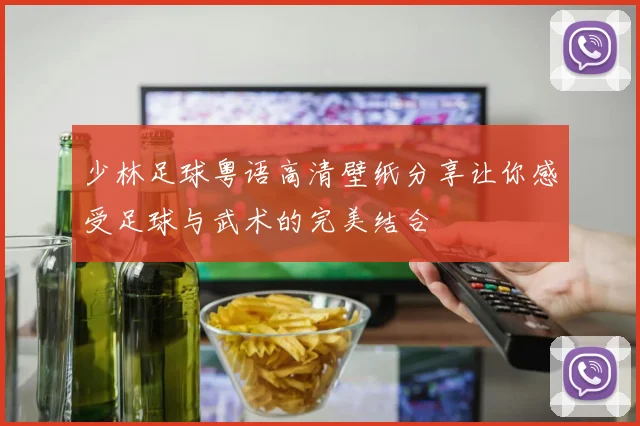 少林足球粤语高清壁纸分享让你感受足球与武术的完美结合