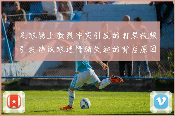 足球场上激烈冲突引发的打架视频引发热议球迷情绪失控的背后原因探讨